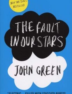 Cover of The Fault in Our Stars by John Green second hand paperback in goor condition at Karin's Treasurs.