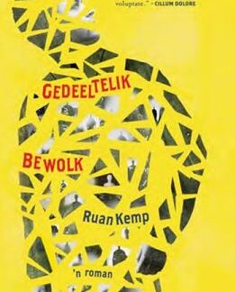 Gedeeltelik Bewolk deur Ruan Kemp voorblad