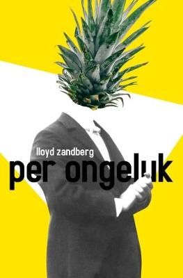 Per ongeluk - Lloyd Zandberg