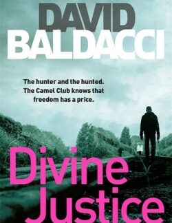 Divine Justice - David Baldacci