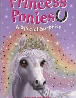 Princess Ponies 7: A Special Surprise - Chloe Ryder