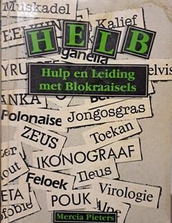 HELP - Hulp En Leiding Met Blokraaisels - Mercia Pieters