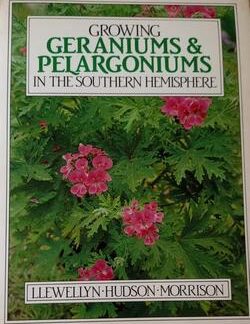 Growing Geraniums & Pelargoniums in the Southern Hemisphere - Llewellyn, Hudson, Morrison
