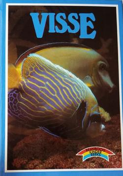 Reënboog Kinderreeks: Visse