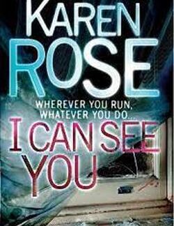 I Can See You - Karen Rose