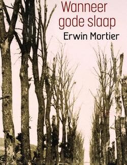 Wanneer Gode Slaap - Erwin Mortier (Vertaal deur Fanie Olivier)