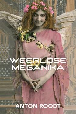 Weerlose meganika - Anton Roodt