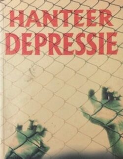 Voorblad van Hanteer Depressie (Bygewerkte Uitgawe) - Annes Nel tweedehandse sagteband in goeie toestand by Karin's Treasures.