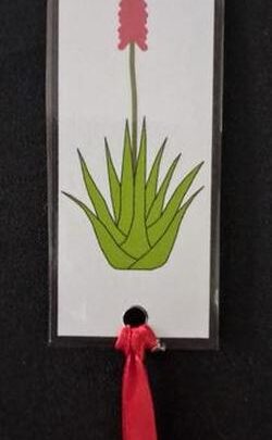 Aalwyn-boekmerk/Bookmark with Aloe