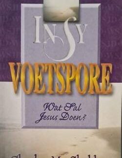 In sy voetspore - Charles M. Sheldon