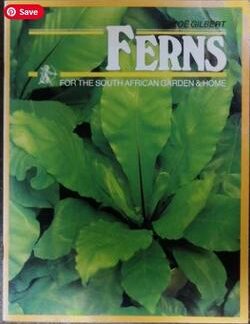 Ferns - Zoë Gilbert