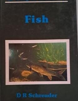 Fish - DR Schreuder