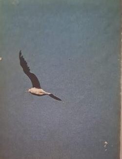 Jonathan Livingston Seemeeu - Richard Bach (Vertaal deur André P. Brink) (Fotograaf Russell Munson)