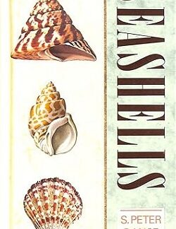Seashells - S.Peter Dance (Author), James Nicholls (Illustrator)