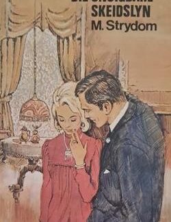 Die onsigbare skeidslyn - M. Strydom