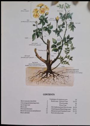 Inside page of the Zoë Gilbert Roses book showing the contents. Photo by Karin's Treasures.