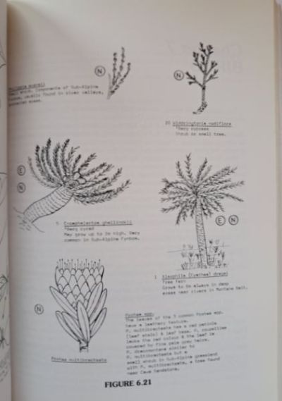 Inside page - photo by Karin's Treasures. 