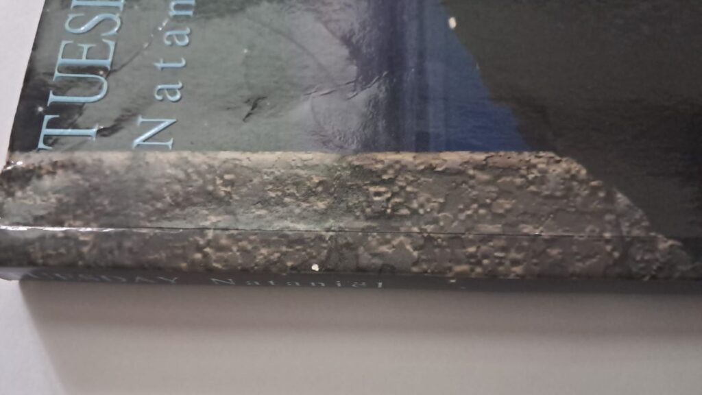 spine tuesday nataniel