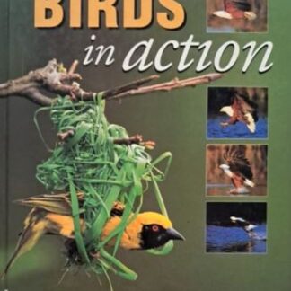 birds in action phil hockey isbn 9781874951124