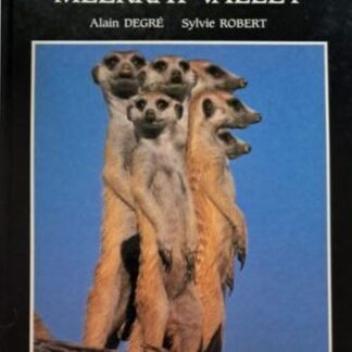 meerkat valley lain degre karins treasures