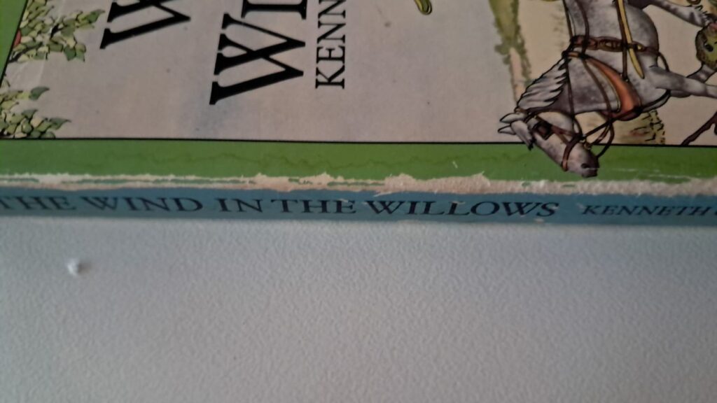 spine the wind in the willows
