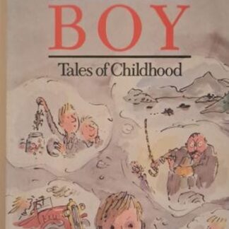 boy roald dahl isbn 9780140318906 karins treasures