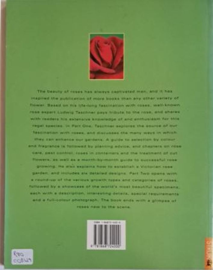 back roses