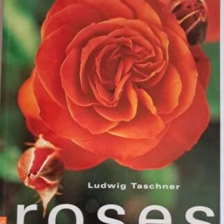 roses ludwig taschner isbn 9781868724000 karins treasurea