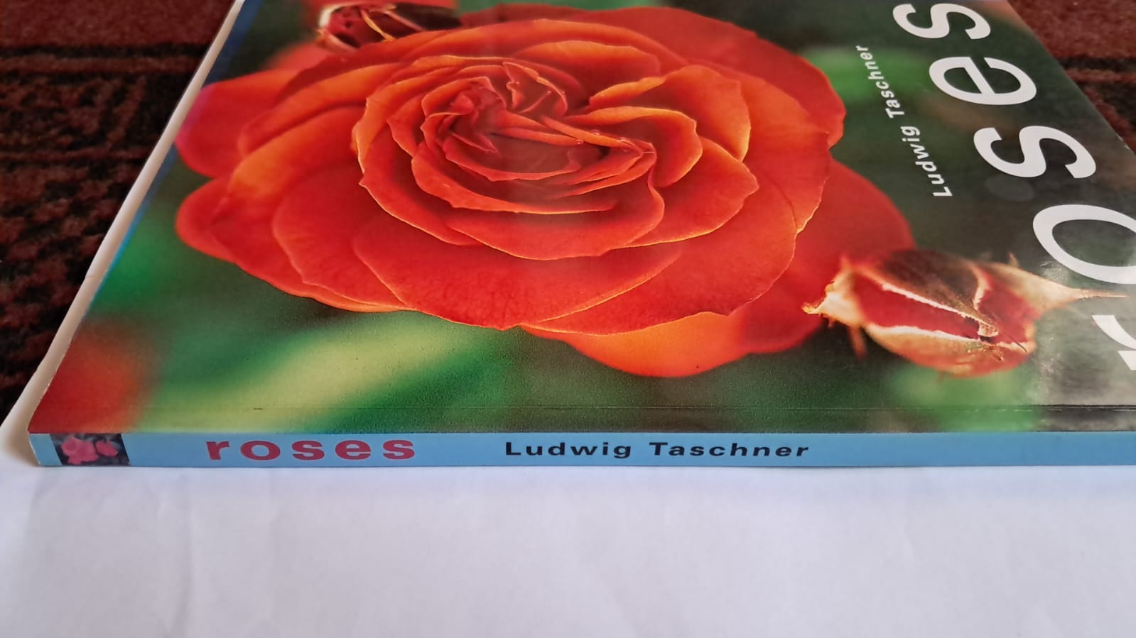 spine roses